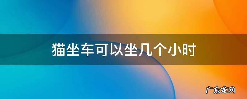猫可以坐多长时间的车 猫坐车可以坐几个小时