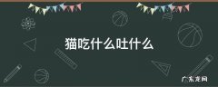 猫吃什么吐什么 猫吃什么吐什么是什么原因