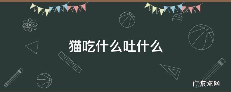 猫吃什么吐什么 猫吃什么吐什么是什么原因