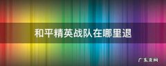 和平精英战队在哪里退出 和平精英战队在哪里退