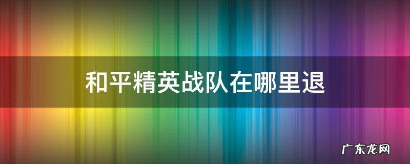 和平精英战队在哪里退出 和平精英战队在哪里退