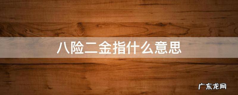 八险二金指什么意思 八险二金指的是哪两金