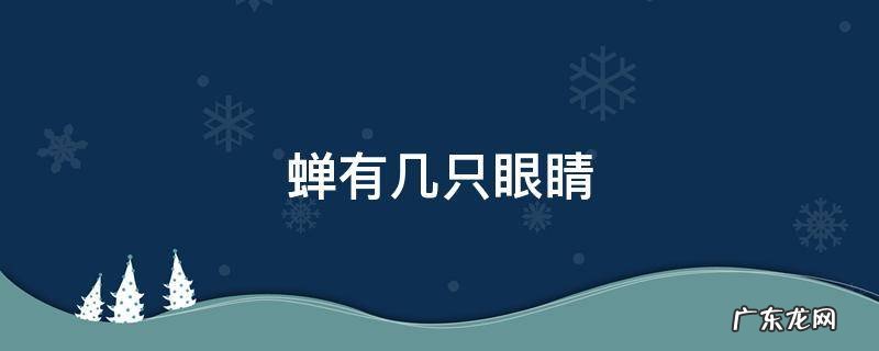 蝉有几只眼睛 蝉有几只眼睛视频