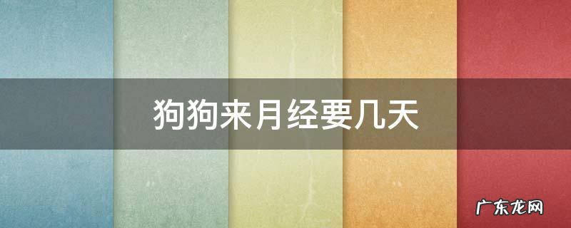 狗狗来月经要几天 狗狗来月经要几天才没有血