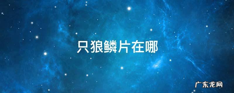只狼鳞片在哪里刷 只狼鳞片在哪