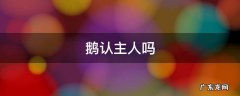 鹅认主人吗 鸡鸭鹅认主人吗