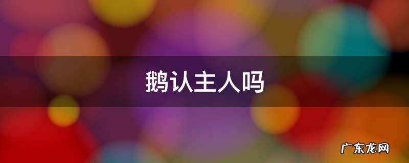 鹅认主人吗 鸡鸭鹅认主人吗