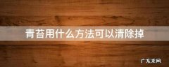 青苔用什么方法可以清除掉 青苔用什么方法可以清除掉?刍塘