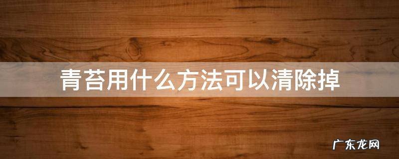 青苔用什么方法可以清除掉 青苔用什么方法可以清除掉?刍塘
