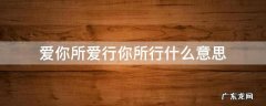爱你所爱行你所行什么意思 爱我所爱行我所行啥意思