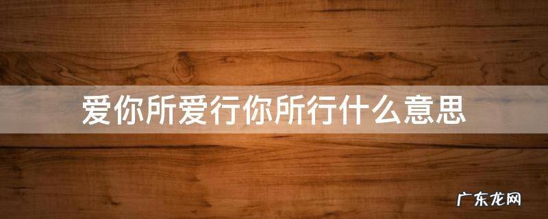 爱你所爱行你所行什么意思 爱我所爱行我所行啥意思