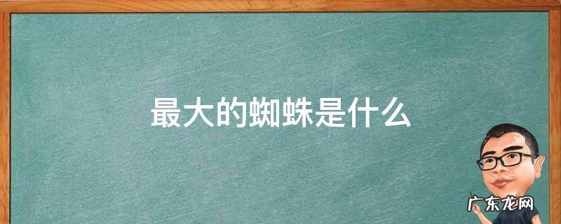 最大的蜘蛛是什么 最大的蜘蛛是什么蛛