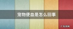 宠物便血是怎么回事 宠物便血原因