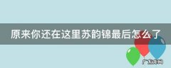 原来你还在这里苏韵锦最后怎么了 原来你还在这里中苏韵锦堕胎的孩子是谁的