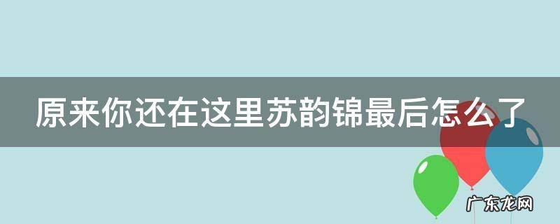 原来你还在这里苏韵锦最后怎么了 原来你还在这里中苏韵锦堕胎的孩子是谁的