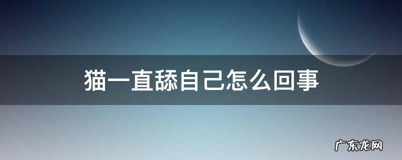 猫一直舔自己怎么回事还红了 猫一直舔自己怎么回事