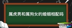 女的属狗男的属虎婚姻相配吗 属虎男和属狗女的婚姻相配吗