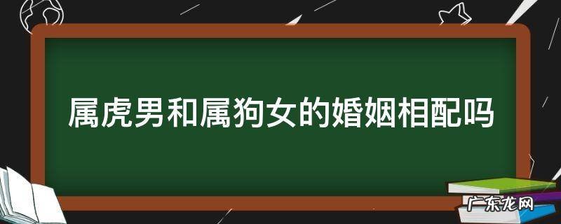 女的属狗男的属虎婚姻相配吗 属虎男和属狗女的婚姻相配吗