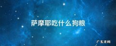 萨摩耶吃什么狗粮 萨摩耶吃什么牌子的狗粮好
