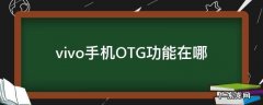 vivo手机OTG功能在哪里 vivo手机OTG功能在哪