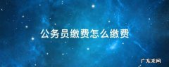 公务员缴费怎么缴费 公务员缴费步骤