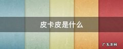 皮卡皮是什么 皮卡丘是什么动画片