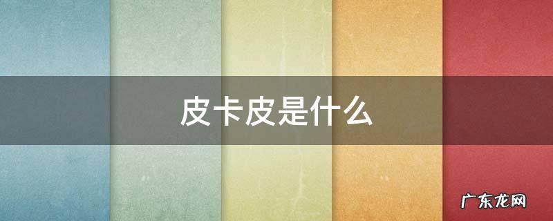 皮卡皮是什么 皮卡丘是什么动画片