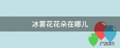 冰雾花在哪? 冰雾花花朵在哪儿
