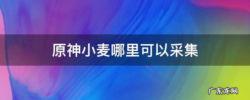 原神小麦在哪里采 原神小麦哪里可以采集