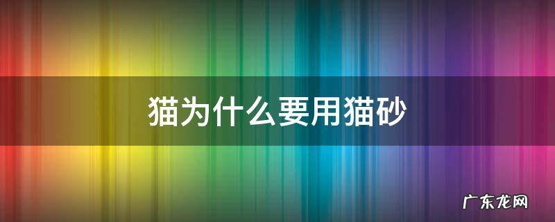 猫为什么要用猫砂 猫为啥要用猫砂