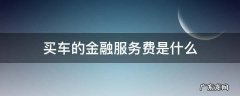 买车时候的金融服务费是干嘛的 买车的金融服务费是什么