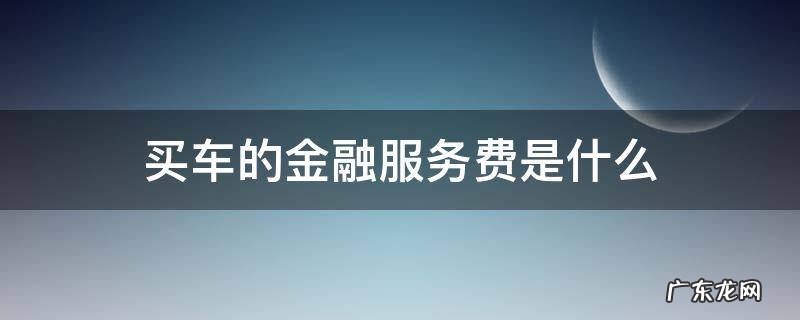 买车时候的金融服务费是干嘛的 买车的金融服务费是什么