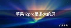 苹果12pro是多大的屏 苹果12pro是多大的屏幕尺寸 在哪里能看到