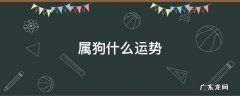 属狗的运势 属狗什么运势