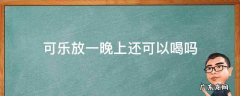 可乐放一晚上还可以喝吗 可乐放一晚上还能喝吗