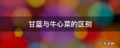 甘蓝与牛心菜的区别 青甘蓝和牛心菜有何区别