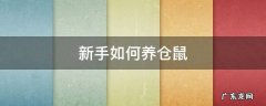 新手如何养仓鼠吃什么 新手如何养仓鼠