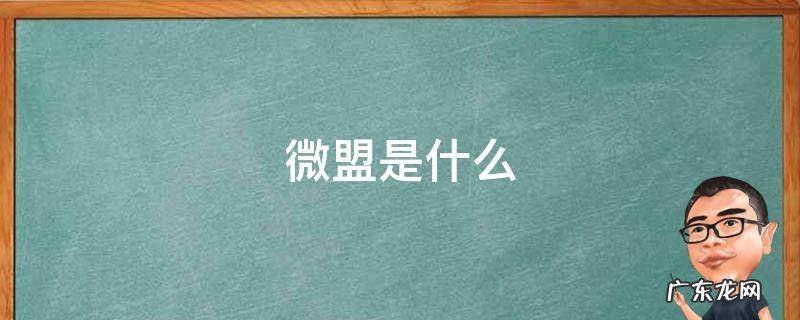 微盟是什么 微盟是什么,微盟是做什么的