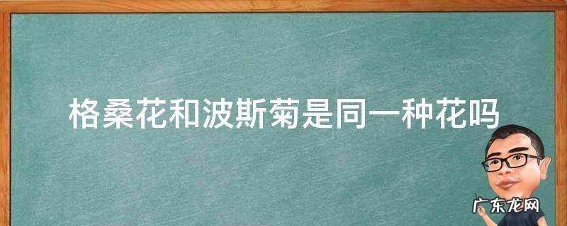 格桑花和波斯菊有什么不同 格桑花和波斯菊是同一种花吗