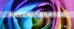 车内开空调会一氧化碳中毒吗 车里开空调会一氧化碳中毒吗