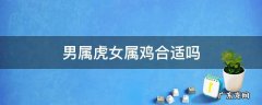 男属虎女属鸡相克吗 男属虎女属鸡合适吗