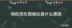 狗吃完东西就吐是什么原因还没精神 狗吃完东西就吐是什么原因
