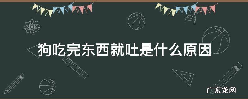 狗吃完东西就吐是什么原因还没精神 狗吃完东西就吐是什么原因