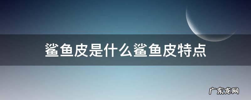 鲨鱼皮百科 鲨鱼皮是什么鲨鱼皮特点