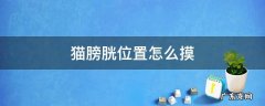 怎么捏猫咪膀胱 猫膀胱位置怎么摸