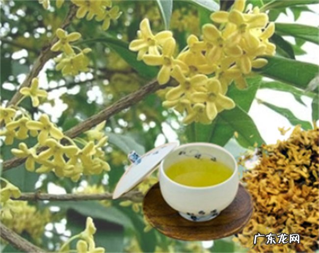 桂花可以生吃吗 附桂花的处理方法