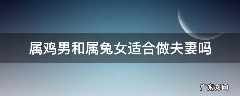 属鸡男和属兔女适合做夫妻吗 属鸡男与属兔女婚姻合适吗