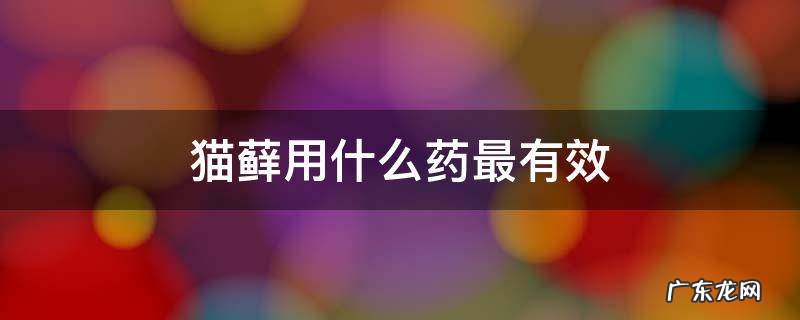 猫癣用什么药 猫藓用什么药最有效