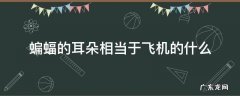 蝙蝠的耳朵相当于飞机的什么 蝙蝠的什么相当于飞机的什么