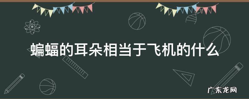 蝙蝠的耳朵相当于飞机的什么 蝙蝠的什么相当于飞机的什么